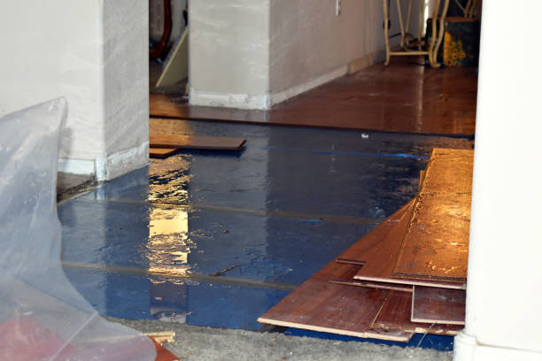 Professional Water Extraction technician working in Harmony, MN